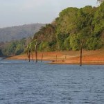 Tribal Tour with Sightseeing in Periyar (1D)